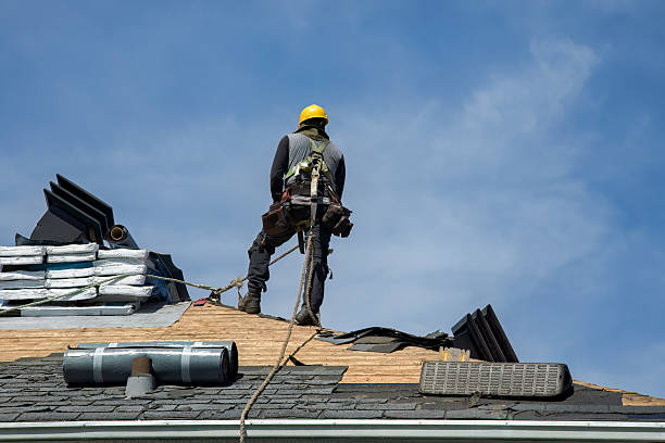 Professional Roof Replacement technician working in Fielding, UT